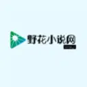 野花小说网2025最新版